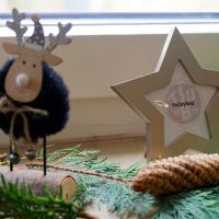 Nikolauskegeln 2025   07