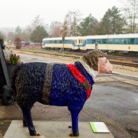 Gesundheitssport   Ausflug 2025   006