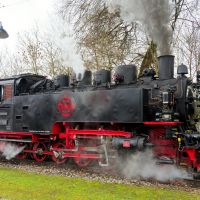 Gesundheitssport   Ausflug 2025   025