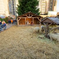 Gesundheitssport   Ausflug 2025   058