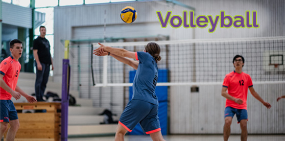 Volleyball