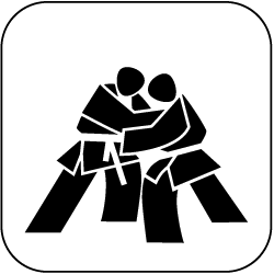 Judo
