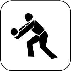 Volleyball